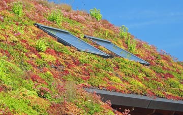 Cheverells Green living roof systems